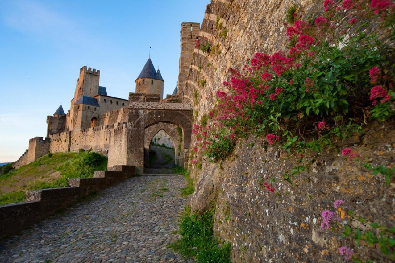 Tout Confort ! Calme, Climatisation, Parking Gratuit, Grande Terrasse, Ascenseur, Wifi Carcassonne Esterno foto