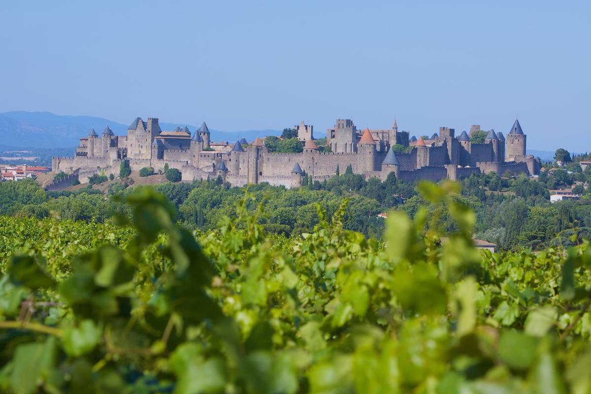 Tout Confort ! Calme, Climatisation, Parking Gratuit, Grande Terrasse, Ascenseur, Wifi Carcassonne Esterno foto
